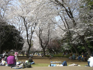 ����ς�L���C�ł���